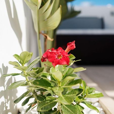 Villa Palmera Jacuzzi Яйса Екстериор снимка