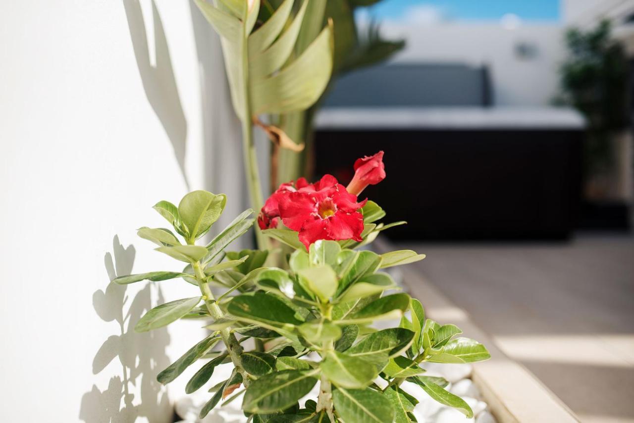 Villa Palmera Jacuzzi Яйса Екстериор снимка